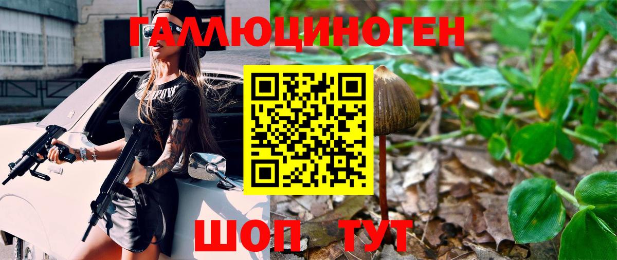 цена   Псилоцибиновые грибы GOLDEN TEACHER  Бахчисарай  Вход с VPN  Галлюциногенные грибы GOLDEN TEACHER 